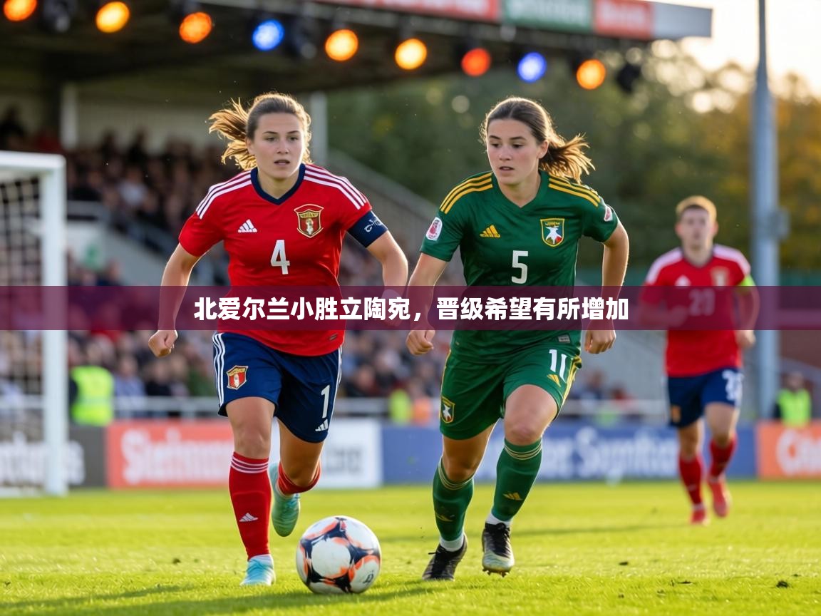 北爱尔兰小胜立陶宛，晋级希望有所增加  第1张